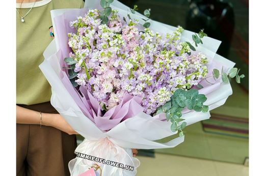 Hoa Phi Yến khoe sắc rực rỡ mang vẻ đẹp của mùa hạ