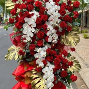 Hoa Khai Trương 01 - DH-1021