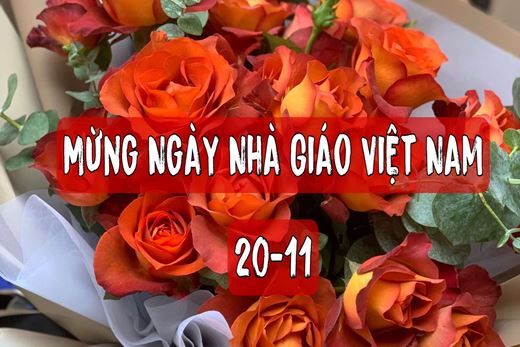 Chọn hoa 20-11 tặng thầy cô với tâm ý chân thành.